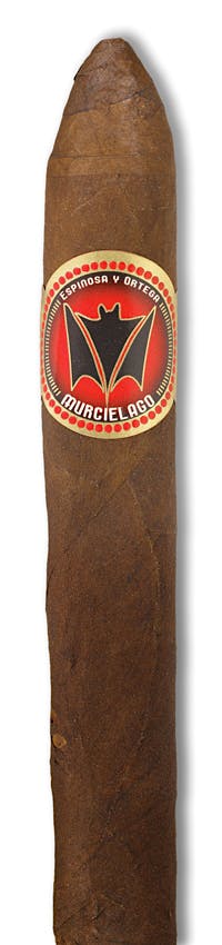 MURCIELAGO BELICOSO