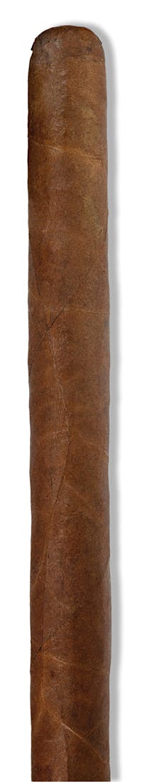 THE EDGE SUMATRA