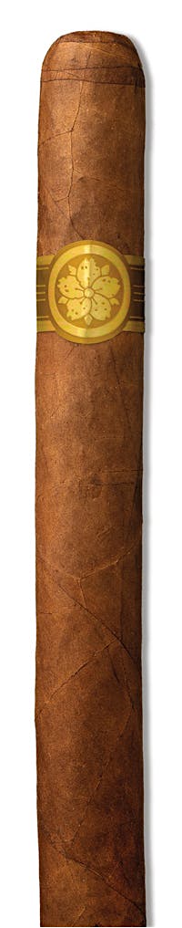 ROOM 101 MASTER COLLECTION TWO SUCIO