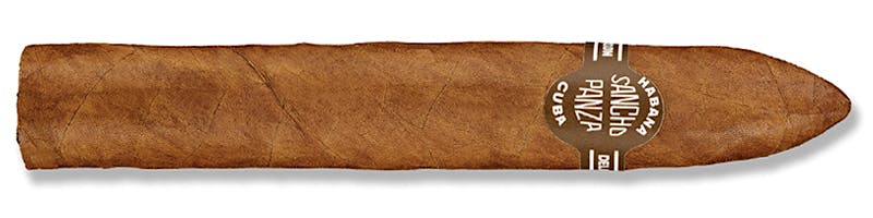 Sancho Panza Belicoso