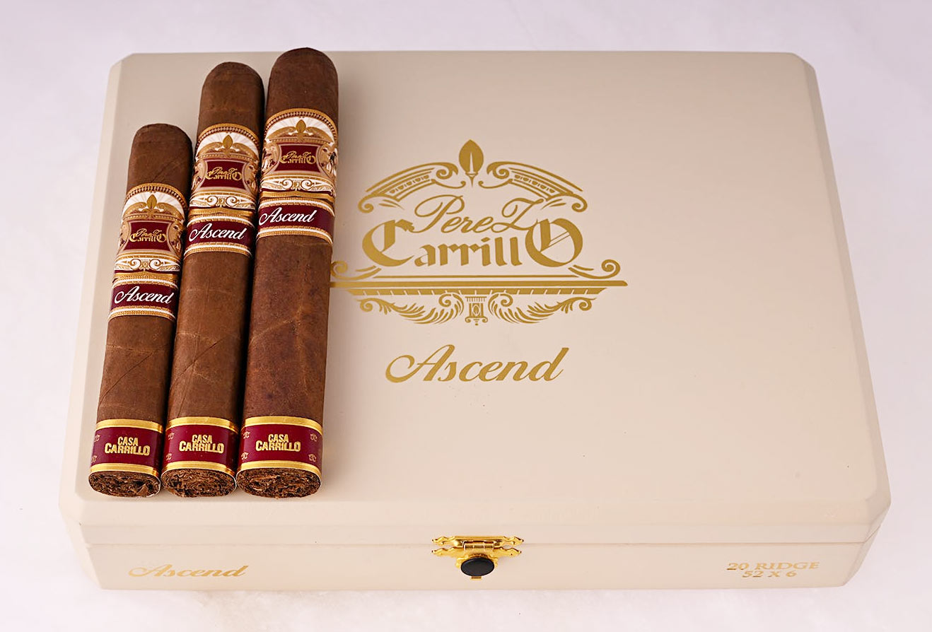 Perez-Carrillo Ascend | 佩雷斯卡里罗 攀登系列(登峰者)