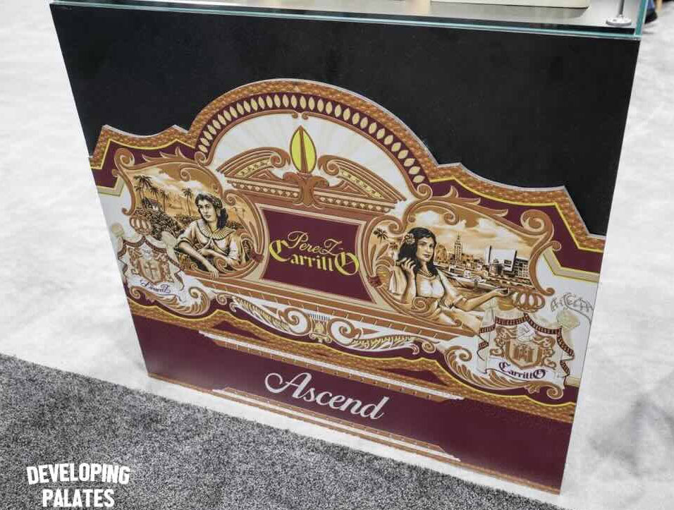 Perez-Carrillo Ascend | 佩雷斯卡里罗 攀登系列(登峰者)